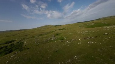 Uçsuz bucaksız yeşil bir çayırda özgürce koşan bir at sürüsü. Parlak mavi bir gökyüzünün altında bulutlar doğayı, özgürlüğü ve manzaralı kırsal alanda hareket etmeyi sergiliyor. Sinematik yavaş çekim havadan FPV