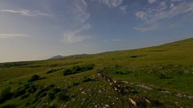 Uçsuz bucaksız yeşil bir çayırda özgürce koşan bir at sürüsü. Parlak mavi bir gökyüzünün altında bulutlar doğayı, özgürlüğü ve manzaralı kırsal alanda hareket etmeyi sergiliyor. Sinematik yavaş çekim havadan FPV