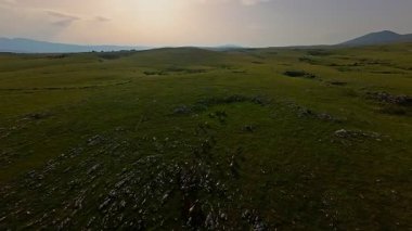 Uçsuz bucaksız yeşil bir çayırda özgürce koşan bir at sürüsü. Parlak mavi bir gökyüzünün altında bulutlar doğayı, özgürlüğü ve manzaralı kırsal alanda hareket etmeyi sergiliyor. Sinematik yavaş çekim havadan FPV