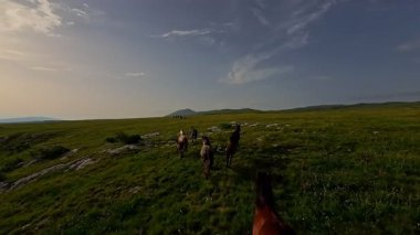 Uçsuz bucaksız yeşil bir çayırda özgürce koşan bir at sürüsü. Parlak mavi bir gökyüzünün altında bulutlar doğayı, özgürlüğü ve manzaralı kırsal alanda hareket etmeyi sergiliyor. Sinematik yavaş çekim havadan FPV