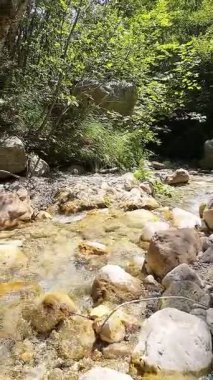 Dik, yıpranmış uçurum duvarlarıyla çevrili sığ bir akıntıyla dar kayalık kanyon dramatik, güneşli bir manzarada doğal erozyon ve macera yakalıyor. Dikey hava fpv