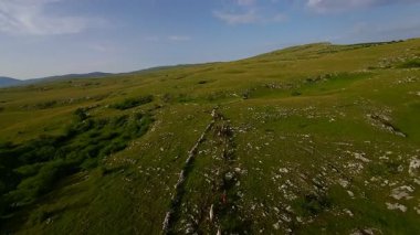 Uçsuz bucaksız yeşil bir çayırda özgürce koşan bir at sürüsü. Parlak mavi bir gökyüzünün altında bulutlar doğayı, özgürlüğü ve manzaralı kırsal alanda hareket etmeyi sergiliyor. Sinematik yavaş çekim havadan FPV