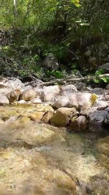 Dik, yıpranmış uçurum duvarlarıyla çevrili sığ bir akıntıyla dar kayalık kanyon dramatik, güneşli bir manzarada doğal erozyon ve macera yakalıyor. Dikey hava fpv