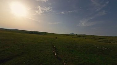 Uçsuz bucaksız yeşil bir çayırda özgürce koşan bir at sürüsü. Parlak mavi bir gökyüzünün altında bulutlar doğayı, özgürlüğü ve manzaralı kırsal alanda hareket etmeyi sergiliyor. Sinematik yavaş çekim havadan FPV