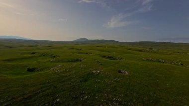 Uçsuz bucaksız yeşil bir çayırda özgürce koşan bir at sürüsü. Parlak mavi bir gökyüzünün altında bulutlar doğayı, özgürlüğü ve manzaralı kırsal alanda hareket etmeyi sergiliyor. Sinematik yavaş çekim havadan FPV