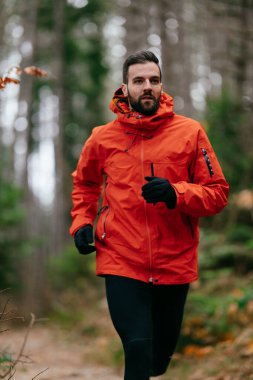 Kırmızı ceket giyen bir adam uzun çam ağaçları ve sonbahar yapraklarıyla çevrili bir orman yolunda koşuyor. Sakin orman yolu, güz mevsiminde doğada barışçıl bir doğa aktivitesi olduğunu gösteriyor.