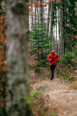 Kırmızı ceket giyen bir adam uzun çam ağaçları ve sonbahar yapraklarıyla çevrili bir orman yolunda koşuyor. Sakin orman yolu, güz mevsiminde doğada barışçıl bir doğa aktivitesi olduğunu gösteriyor.