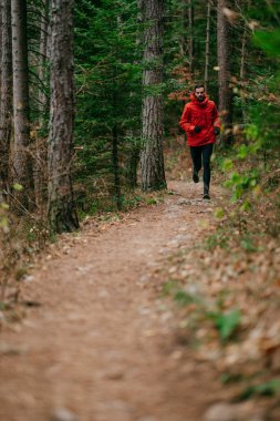 Kırmızı ceket giyen bir adam uzun çam ağaçları ve sonbahar yapraklarıyla çevrili bir orman yolunda koşuyor. Sakin orman yolu, güz mevsiminde doğada barışçıl bir doğa aktivitesi olduğunu gösteriyor.