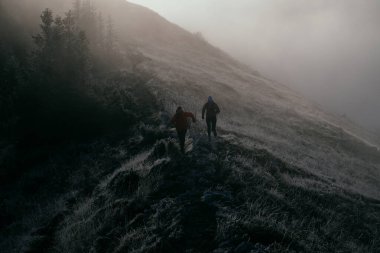 Dağ yolunda koşan bir çiftin izini sürüyorum. Bir çift sabahın erken saatlerinde kros koşusu yapıyor..