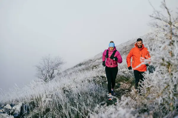 Dağ yolunda koşan bir çiftin izini sürüyorum. Bir çift sabahın erken saatlerinde kros koşusu yapıyor..