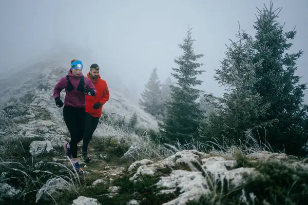 Dağ yolunda koşan bir çiftin izini sürüyorum. Bir çift sabahın erken saatlerinde kros koşusu yapıyor..