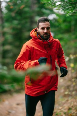 Kırmızı ceket giyen bir adam uzun çam ağaçları ve sonbahar yapraklarıyla çevrili bir orman yolunda koşuyor. Sakin orman yolu, güz mevsiminde doğada barışçıl bir doğa aktivitesi olduğunu gösteriyor.