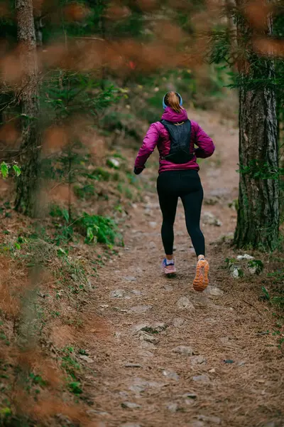 Yoğun Çam Ormanı 'nda Odaklanarak Koşan Kararlı Kadın Atletizm Gücü ve Doğayı Kucaklayan.