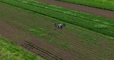 Kırsal ortamlardaki gelişmiş tarım teknolojisi ve hassas tarım tekniklerini vurgulayarak, ekin izleme veya spreyleme görevi sırasında ekili bir tarla üzerinde uçan hava aracı..