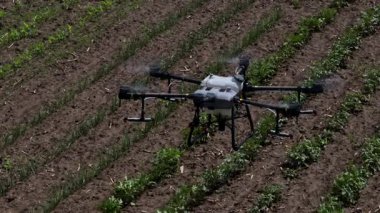 Kırsal ortamlardaki gelişmiş tarım teknolojisi ve hassas tarım tekniklerini vurgulayarak, ekin izleme veya spreyleme görevi sırasında ekili bir tarla üzerinde uçan hava aracı..