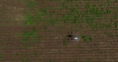 Kırsal ortamlardaki gelişmiş tarım teknolojisi ve hassas tarım tekniklerini vurgulayarak, ekin izleme veya spreyleme görevi sırasında ekili bir tarla üzerinde uçan hava aracı..