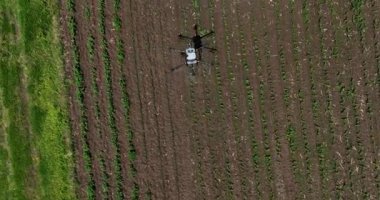 Kırsal ortamlardaki gelişmiş tarım teknolojisi ve hassas tarım tekniklerini vurgulayarak, ekin izleme veya spreyleme görevi sırasında ekili bir tarla üzerinde uçan hava aracı..