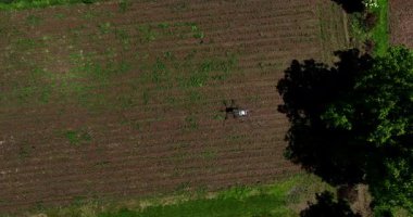 Kırsal ortamlardaki gelişmiş tarım teknolojisi ve hassas tarım tekniklerini vurgulayarak, ekin izleme veya spreyleme görevi sırasında ekili bir tarla üzerinde uçan hava aracı..