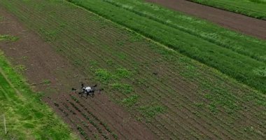 Kırsal ortamlardaki gelişmiş tarım teknolojisi ve hassas tarım tekniklerini vurgulayarak, ekin izleme veya spreyleme görevi sırasında ekili bir tarla üzerinde uçan hava aracı..