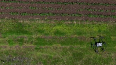 Kırsal ortamlardaki gelişmiş tarım teknolojisi ve hassas tarım tekniklerini vurgulayarak, ekin izleme veya spreyleme görevi sırasında ekili bir tarla üzerinde uçan hava aracı..