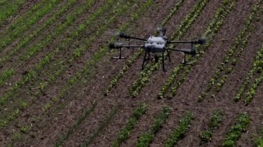 Kırsal ortamlardaki gelişmiş tarım teknolojisi ve hassas tarım tekniklerini vurgulayarak, ekin izleme veya spreyleme görevi sırasında ekili bir tarla üzerinde uçan hava aracı..