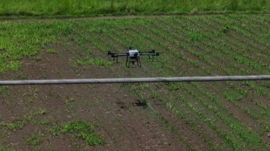 Kırsal ortamlardaki gelişmiş tarım teknolojisi ve hassas tarım tekniklerini vurgulayarak, ekin izleme veya spreyleme görevi sırasında ekili bir tarla üzerinde uçan hava aracı..