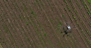 Kırsal ortamlardaki gelişmiş tarım teknolojisi ve hassas tarım tekniklerini vurgulayarak, ekin izleme veya spreyleme görevi sırasında ekili bir tarla üzerinde uçan hava aracı..
