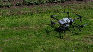 Kırsal ortamlardaki gelişmiş tarım teknolojisi ve hassas tarım tekniklerini vurgulayarak, ekin izleme veya spreyleme görevi sırasında ekili bir tarla üzerinde uçan hava aracı..