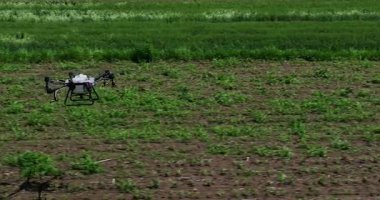 Kırsal ortamlardaki gelişmiş tarım teknolojisi ve hassas tarım tekniklerini vurgulayarak, ekin izleme veya spreyleme görevi sırasında ekili bir tarla üzerinde uçan hava aracı..