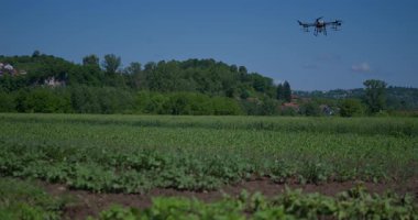 Kırsal ortamlardaki gelişmiş tarım teknolojisi ve hassas tarım tekniklerini vurgulayarak, ekin izleme veya spreyleme görevi sırasında ekili bir tarla üzerinde uçan hava aracı..