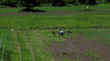 Kırsal ortamlardaki gelişmiş tarım teknolojisi ve hassas tarım tekniklerini vurgulayarak, ekin izleme veya spreyleme görevi sırasında ekili bir tarla üzerinde uçan hava aracı..