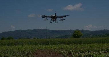 Kırsal ortamlardaki gelişmiş tarım teknolojisi ve hassas tarım tekniklerini vurgulayarak, ekin izleme veya spreyleme görevi sırasında ekili bir tarla üzerinde uçan hava aracı..