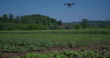 Kırsal ortamlardaki gelişmiş tarım teknolojisi ve hassas tarım tekniklerini vurgulayarak, ekin izleme veya spreyleme görevi sırasında ekili bir tarla üzerinde uçan hava aracı..