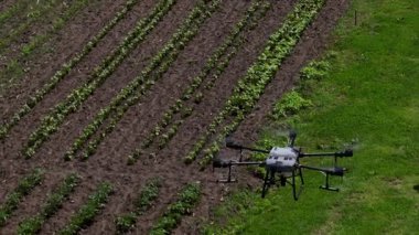 Bir tarımsal dron, akıllı tarım, hassas tarım ve sürdürülebilir büyüme ve verimli ürün yönetimi için yenilikçi teknoloji sergilenen manzaralı bir dağ vadisinde sıra sıra ekinleri izler.