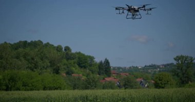 Kırsal ortamlardaki gelişmiş tarım teknolojisi ve hassas tarım tekniklerini vurgulayarak, ekin izleme veya spreyleme görevi sırasında ekili bir tarla üzerinde uçan hava aracı..