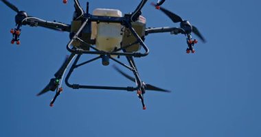 Kırsal ortamlardaki gelişmiş tarım teknolojisi ve hassas tarım tekniklerini vurgulayarak, ekin izleme veya spreyleme görevi sırasında ekili bir tarla üzerinde uçan hava aracı..