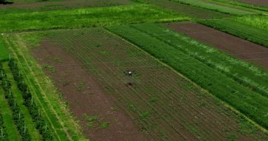 Kırsal ortamlardaki gelişmiş tarım teknolojisi ve hassas tarım tekniklerini vurgulayarak, ekin izleme veya spreyleme görevi sırasında ekili bir tarla üzerinde uçan hava aracı..