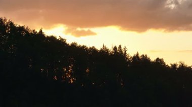 Gün batımında parlayan güneş, sıcak turuncu gökyüzü ve uzun çam ağaçları olan manzaralı orman silueti. Huzurlu, sakin doğa manzarası sakinlik, sükunet ve güzellik temaları için mükemmeldir.