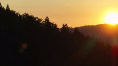 Scenic forest silhouette at sunset with glowing sun on the horizon, warm orange sky, and tall pine trees. A peaceful, tranquil nature landscape perfect for themes of calm, serenity, and beauty