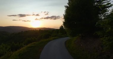 Gün batımında parlayan güneş, sıcak turuncu gökyüzü ve uzun çam ağaçları olan manzaralı orman silueti. Huzurlu, sakin doğa manzarası sakinlik, sükunet ve güzellik temaları için mükemmeldir.