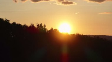 Gün batımında parlayan güneş, sıcak turuncu gökyüzü ve uzun çam ağaçları olan manzaralı orman silueti. Huzurlu, sakin doğa manzarası sakinlik, sükunet ve güzellik temaları için mükemmeldir.