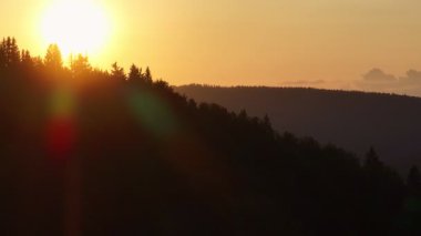 Gün batımında parlayan güneş, sıcak turuncu gökyüzü ve uzun çam ağaçları olan manzaralı orman silueti. Huzurlu, sakin doğa manzarası sakinlik, sükunet ve güzellik temaları için mükemmeldir.