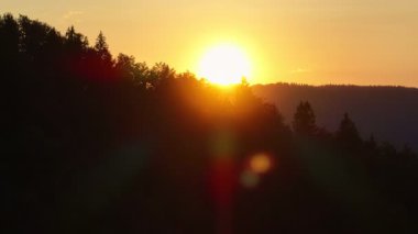 Scenic forest silhouette at sunset with glowing sun on the horizon, warm orange sky, and tall pine trees. A peaceful, tranquil nature landscape perfect for themes of calm, serenity, and beauty