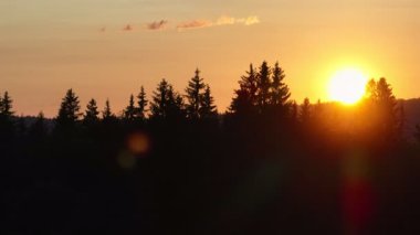 Gün batımında parlayan güneş, sıcak turuncu gökyüzü ve uzun çam ağaçları olan manzaralı orman silueti. Huzurlu, sakin doğa manzarası sakinlik, sükunet ve güzellik temaları için mükemmeldir.