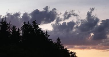 Gün batımında parlayan güneş, sıcak turuncu gökyüzü ve uzun çam ağaçları olan manzaralı orman silueti. Huzurlu, sakin doğa manzarası sakinlik, sükunet ve güzellik temaları için mükemmeldir.