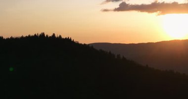 Gün batımında parlayan güneş, sıcak turuncu gökyüzü ve uzun çam ağaçları olan manzaralı orman silueti. Huzurlu, sakin doğa manzarası sakinlik, sükunet ve güzellik temaları için mükemmeldir.