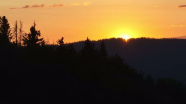 Gün batımında parlayan güneş, sıcak turuncu gökyüzü ve uzun çam ağaçları olan manzaralı orman silueti. Huzurlu, sakin doğa manzarası sakinlik, sükunet ve güzellik temaları için mükemmeldir.