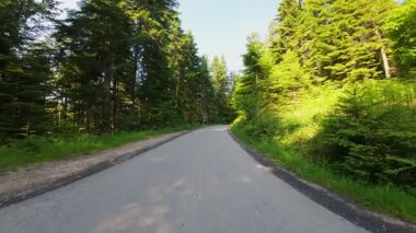 Yukardan görünen virajlı dağ yolu, yemyeşil ormanlar ve engebeli tepelerden geçiyor. Dokunulmamış yabanda manzaralı otobanın insansız hava aracı görüntüsü seyahat ve macera temaları için mükemmel.