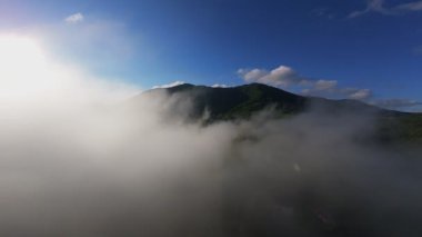 Güneşin doğuşunda yemyeşil bir vadinin hava manzarası sisli tepeler, orman ağaçları ve yumuşak sabah ışığı. Seyahat, ekolojik maceralar ve manzaralı kaçışlar için mükemmel güzel, sinematik bir manzara.