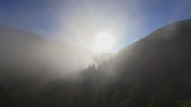 Güneşin doğuşunda yemyeşil bir vadinin hava manzarası sisli tepeler, orman ağaçları ve yumuşak sabah ışığı. Seyahat, ekolojik maceralar ve manzaralı kaçışlar için mükemmel güzel, sinematik bir manzara.